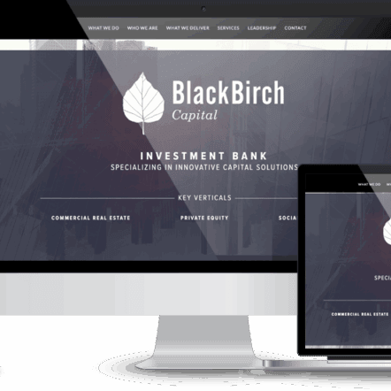 High-quality investment banking website showcase for BlackBirch Capital on multiple devices.