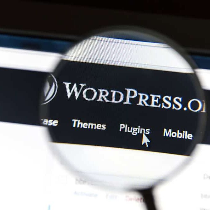 Wordpress.org website with focus on themes, plugins, and customization for WordPress sites.